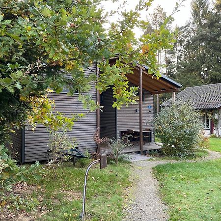 Modernes Tinyhouse Trailer Cabins Am Waldrand - Mit Seezugang エーギング エクステリア 写真